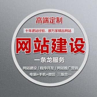 海南丰鑫新能源开发有限公司委托我司开发公司网站