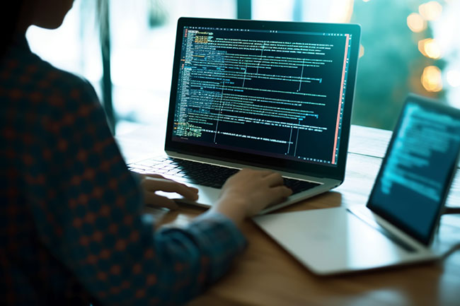 网站建设公司做网站如何进行金融与投资网站设计