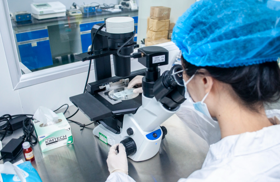 找生物医药公司网站设计搭建服务商，优选创想传媒值得信赖